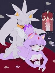 blaze the cat from sega by apinkgrape
