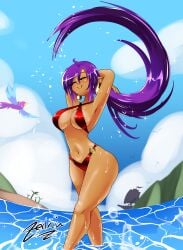 risky boots from shantae by zedrin