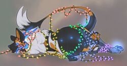african_wild_dog andromorph animal_genitalia animated belly belly_nipples big_belly bondage bound canid canine canine_genitalia chimera christmas_decorations christmas_lights claws digital_drawing_(artwork) digital_media_(artwork) entangled feral fur genitals herald_(heraldicmage) heraldic_beast heraldicmage hi_res intersex mammal multi_nipple multicolored_body nipples nonbinary_(lore) pregnant pregnant_andromorph pregnant_intersex simple_background solo subtle_animation tail teats vulva