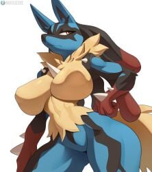 1girls 2d anthro big_breasts blush breasts clothing cooliehigh female female_focus female_lucario female_only fur furry generation_4_pokemon genitals lucario mega_evolution mega_lucario narrowed_eyes nintendo pokemon pokemon_(species) pussy solo sweat thick_thighs video_games