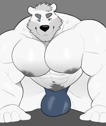 1anthro 1boy 1male abs anthro bara bara_tiddies bara_tits bear beard blue_eyes bulge bulge_through_clothing daddy dilf facial_hair furry humanoid kemono mature_male milkblend muscular muscular_male polar_bear pubic_hair snow_(milkblend) solo underwear_only white_body white_fur