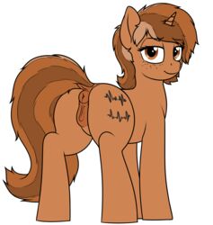 2018 alpha_channel anatomically_correct anatomically_correct_pussy animal_genitalia animal_pussy anus ass brown_hair cutie_mark digital_media_(artwork) dock equine equine_pussy fan_character female feral freckles hair hi_res hooves horn looking_at_viewer mammal my_little_pony pussy sign_(character) simple_background solo transparent_background unicorn zippysqrl