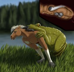 amphibian anthro equine feral frog horse lemurlemurovich male mammal vore