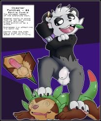 5:6 abstract_background absurd_res animal_genitalia anthro anus balls big_nose black_body black_border black_fur black_nose border bracelet bracelet_only brown_body brown_fur brown_sheath bullying character_description chespin chester_(siriusandpyri) chip_sprout_(siriusandpyri) colored digital_media_(artwork) dipstick_tail duo ear_piercing ear_ring english_text erection fur fur_tuft generation_6_pokemon genitals gold_(metal) gold_ear_ring green_shell green_tail grey_body grey_fur hi_res humanoid_genitalia humanoid_penis jewelry leaf leaf_ears leaf_in_mouth male male/male markings nintendo pancham penis piercing pink_nose pink_penis pink_tongue pokemon pokemon_(species) post_fight pubes red_tail_tip ring_piercing rivals sheath shell shortstack shortstack_male siriusandpyri small_nose standing_on_another stunned tail tail_markings teeth text tongue tooth_gap tuft white_fingertips white_pubes white_sheath white_toes