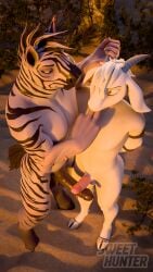 3d_(artwork) 9:16 anthro balls big_penis blender_(artwork) blender_cycles_(artwork) bound bovid caprine desert digital_media_(artwork) duo equid equine finger_in_mouth genitals goat hi_res male male/male mammal muscular muscular_male penis plant rope sand shrub sweet_hunter zahr_(sladdoska) zebra