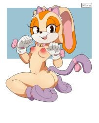 2026 2026s anthro anthro_only bunny_ears bunny_girl cat_tail cosplay cream_the_rabbit digital_media_(artwork) furry furry_female furry_only hi_res mammal mobian mobian_(species) mobian_rabbit procyonid rabbit rabbit_girl sega smile smiling solo solo_anthro solo_female solo_focus sonic_(series) sonic_the_hedgehog_(series) tails young young_anthro younger_female