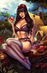 big_breasts black_hair bra breasts cleavage disney disney_princess elias_chatzoudis female garter_belt garter_straps hair_ribbon holding_apple large_breasts lingerie long_hair nipples outside princess ribbon royalty see-through sitting snow_white_(disney) snow_white_and_the_seven_dwarfs solo thighhighs