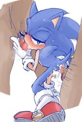 anal ass balls blue_fur blush cum cum_in_ass cum_in_mouth furry gay hedgehog mammal oral penis sonic_(series) sonic_the_hedgehog spitroast sweat tears weresocks