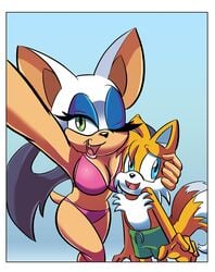 rouge the bat from sonic (series) by chauvels
