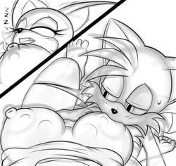 2017 anthro areola bat big_breasts breast_sucking breasts canine duo erect_nipples female fox hi_res huge_breasts male mammal nipples polarplunge puffy_areola rouge_the_bat sex sleep_sex sleeping sonic_(series) sucking tails