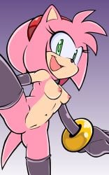 amy rose from sega by randomguy999