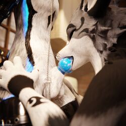 1:1 3d_(artwork) 4k absurd_res animal_genitalia animal_penis anthro anthro_on_anthro anthro_penetrated anthro_penetrating anthro_penetrating_anthro armwear balls biped black_body black_clothing black_fur blender_(artwork) blender_cycles_(artwork) blue_body blue_fur blue_penis bodily_fluids bondage canid canine canine_genitalia canine_penis canis claws clothed clothing collar cum cum_dripping_from_penis cum_on_penis depth_of_field digital_media_(artwork) dominant dragonplayer dragonplayer_(character) duo erection feet fellatio fox fur genital_fluids genitals grey_body grey_fur hair hi_res hindpaw hybrid inside jex kenovawolf kitchen kneeling kneeling_oral_position knot latex latex_armwear latex_clothing latex_legwear latex_thigh_highs leash leashed_collar legwear male male/male male_penetrating mammal moan multicolored_body nude open_mouth oral oral_penetration orgasm paws penetration penile penis penis_in_mouth pink_penis reflection rexouium sex slim slim_anthro slim_male slim_sub smile standing submissive submissive_male tail thigh_highs white_body white_fur