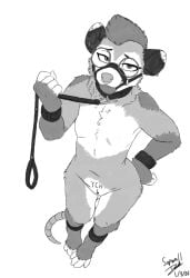 2026 4_toes 5_fingers alternate_version_at_source american_opossum ankle_cuffs anthro arrow_pointing_to_crotch ball_gag bedroom_eyes biped bondage bound breasts collar collar_only collar_ring cuff_(restraint) dated directional_arrow ear_piercing english_text eyebrows eyewear facial_piercing featureless_breasts feet female fingers fur gag gagged glasses grey_body grey_fur hair halter hand_on_hip harness_ball_gag harness_gag hi_res high-angle_view holding_own_leash leash looking_at_viewer mammal marsupial monochrome narrowed_eyes nose_piercing nose_ring nude piercing pubic_tattoo pupils restraints ring_piercing rodent_tail seductive signature simple_background small_breasts solo sopwall speech_bubble tattoo telkie_(patchkatz) text text_tattoo toes white_background wrist_cuffs ych_(diegetic)