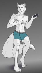 abs anthro areola athletic athletic_anthro athletic_male ball biped boxer_briefs boxer_briefs_only bulge canid canine canis cellphone claws clothed clothing detailed_bulge ear_piercing ear_ring electronics feet finger_claws fingers fluffy fluffy_tail front_view frown fur gradient_background haruki_koizumi hi_res holding_cellphone holding_object holding_phone holding_smartphone humanoid_feet humanoid_hands long_tail looking_aside low-angle_view male male_anthro mammal nipples pecs phone piercing plantigrade reedeer ring_piercing shadow simple_background smartphone solo standing tail tennis_ace toe_claws toes topless underwear underwear_only white_body white_fur wolf yellow_eyes