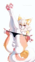 2026 4_toes 5_fingers absurd_res accessory alexandria_cooper animal_genitalia anthro anus artist_name balls black_clothing black_nose black_panties black_underwear blue_eyes blush blush_lines breasts butt canid canine canis claws clothing cowlick cross-popping_vein dipstick_ears domestic_dog ear_markings english_text eyebrows feet finger_claws fingerpads fingers fluffy fluffy_tail fur genitals gradient_fur gynomorph hair hair_accessory hairpin hi_res inner_ear_fluff intersex legs_up mammal markings multicolored_ears neck_tuft nipples open_mouth panties pawpads penis penis_tip pink_anus pink_nipples pink_pawpads pink_penis pomeranian ripping_clothing saika076 sheath simple_background solo spitz tail text toe_claws toes torn_clothing torn_panties torn_underwear tuft underwear white_background white_balls white_body white_breasts white_eyebrows white_fur white_hair white_inner_ear_fluff white_text y_anus yellow_body yellow_fur