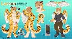 anthro felid genitals hi_res humanoid_genitalia humanoid_penis jaguar kilian_avali larson_the_winged_jaguar male male_anthro mammal model_sheet pantherine penis solo tagme