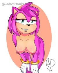1girls amy_rose fanart female furry hedgehog jamesdrawslewdthings nude pinup sega solo sonic_the_hedgehog_(series) teen