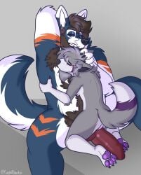 absurd_res andromorph andromorph/male anthro armpit_hair armpit_sniffing belly belly_hair body_hair canid canine canis chest_hair duo fuegopokato genitals grinning_at_partner head_holding hi_res holding_head intersex intersex/male kato_(fuegopokato) knot knotted_penis male mammal musclegut muscular musky_armpit penis raised_arm rasker size_difference sniffing vulva wolf