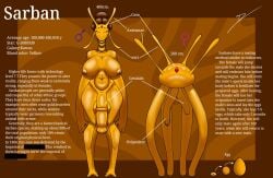 alien animal_genitalia animal_penis antennae_(anatomy) big_breasts big_penis breasts duo egg english_text equine_genitalia equine_penis female genitals gynomorph hair hair_bun intersex littlebird7284 ovipositor penis sarban_(species) size_difference tall text yellow_body