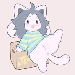 1:1 2026 ahoge anthro anus biped bottomless box cardboard cardboard_box cat_tail clitoral_hood clothed clothed_anthro clothed_female clothing container digital_drawing_(artwork) digital_media_(artwork) digitigrade female female_anthro flat_colors front_view fur genitals grey_hair hair hi_res innie_vulva kit_(artist) looking_at_viewer medium_hair monotone_body monotone_fur monotone_hair multi_ear noseless one_leg_up open_mouth raised_leg simple_background solo straight_hair tan_background tem temmie_(undertale) undertale undertale_(series) vulva white_body white_fur
