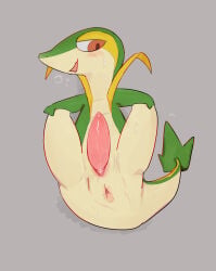 2026 absurd_res animal_genitalia anus blush blush_lines blush_stickers bodily_fluids feral generation_5_pokemon genital_slit genitals green_body green_skin grey_background half-closed_eyes head_to_side hi_res holding_both_legs leaf leaf_tail looking_back male narrowed_eyes nintendo open_mouth open_smile penis pink_anus pink_penis pokemon pokemon_(species) presenting presenting_anus presenting_penis red_eyes simple_background smile snivy snout solo solterv spread_legs spreading steamy_breath sweat sweaty_body sweaty_face sweaty_legs sweaty_thighs tail thick_tail