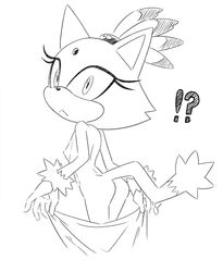 blaze the cat from sonic (series) by hecticarts