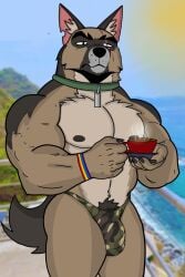 2025 anthro areola barely_visible_genitalia barely_visible_penis biped black_nipples bracelet brown_body brown_fur brutus_(pixie_and_brutus) bulge canid canine canis clothing coffee_mug collar detailed_bulge domestic_dog fur fur_markings genitals german_shepherd green_collar grey_body grey_fur half-closed_eyes herding_dog hi_res ivan_the_artist jewelry lgbt_pride male male_anthro mammal markings mixed_media multicolored_body multicolored_fur muscular muscular_anthro muscular_male narrowed_eyes nipples pastoral_dog pecs penis penis_base photo_background photography_(artwork) pubes scar six-stripe_rainbow_pride_colors solo underwear