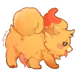 1:1 @mi1_yit animal_genitalia animal_penis anus bodily_fluids canid canine canis domestic_dog feral generation_10_pokemon genital_fluids genitals interspecies looking_at_viewer male mammal nintendo penis pokemon pokemon_(species) pombon pomeranian precum solo spitz