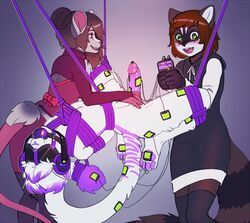 1boy 2girls ahr_(character) anthro arh ball_gag blindfold bondage electrodes erection feline female femdom frogtie frostywinds gag headphones male malesub mouse multiple_girls penis ravika rodent rope sensory_deprivation spread_legs suspension tail_bondage