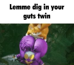 3d 3d_(artwork) 3d_animation animated avian backshots caption chubby chubby_anthro chubby_female chubby_femboy chubby_male fat_ass fat_female femboy femboy_on_female gif meme meme_caption mobian mobian_(species) start_digging_in_yo_butt_twin tails_the_fox teapot_(body_type) thick_thighs vulkyasha wave_the_swallow