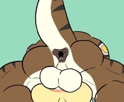 2boys animated anthro anthro_on_anthro anus bara barazoku furry gay hole moaning moaning_in_pleasure muscle muscular omyurice sound sound_edit tagme video voice voice_acted yaoi