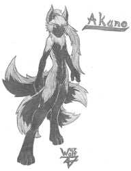 akano canine fox mammal nogitsune silver_fox warwolf47