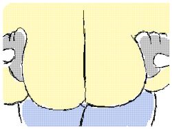 1girls animated ass ass_expansion belly big_ass big_butt bouncing_breasts breast_expansion breast_grab breast_hold breast_squeeze breasts breasts_bigger_than_head breasts_bigger_than_torso butt canine cleavage clothed clothed_female enormous_breasts expansion featureless_breasts featureless_crotch female female_only furry gigantic_breasts growth hips huge_ass huge_breasts huge_butt humanoid hyper hyper_breasts large_ass large_breasts large_butt lucario nintendo no_nipples no_pussy pokemon pokemon_(species) simple_background solo thesneakyzone thick thick_ass thick_thighs thighs top_heavy video_games voluptuous white_background wide_hips