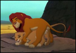 anal anal_sex animal_genitalia balls cum daughter disney duo father feline female feral feral_on_feral fur hi_res incest kaion kiara lion male mammal open_mouth parent penetration penis pussy sex simba straight the_lion_guard the_lion_king