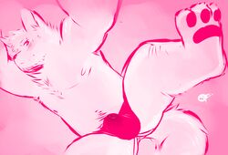 3_toes anthro anus blush body_hair bulge canine clothing happy_trail husky jockstrap male male_only mammal pawpads simple_background solo toes tohfu underwear