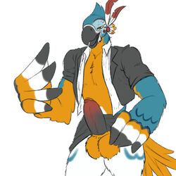 anthro avian balls bird breath_of_the_wild clothed clothing erection humanoid_penis kass kass_(zelda) macaw male male_only nintendo parrot partially_clothed penis rito secretary strawberrycucumber the_legend_of_zelda thick_penis uncut video_games