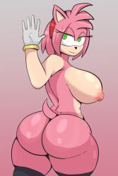 amy rose from sega by axheyla