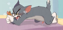 ambiguous_gender animal_genitalia animal_penis anthro atori balls blush cum drooling duo erection feline fur half-closed_eyes jerry_mouse male mammal mouse open_mouth penis precum rodent saliva sex sweat tom_and_jerry tom_cat tongue tongue_out