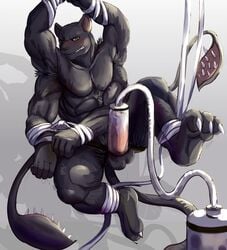 2017 3_toes 4_arms 5_fingers abs anthro armpit_hair balls black_balls black_nose black_panther blush bondage bound brown_eyes claws displacer_beast erection fd-caro feline grey_background hands_tied hi_res humanoid_penis machine male male_only mammal milking_machine multi_arm multi_limb muscular muscular_male orgasm panther penis penis_milking penis_pump pubes simple_background solo toe_claws toes