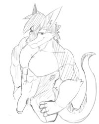 anthro discordnight hi_res male male_only mammal muscular penis sergal sex simple_background solo tan5551