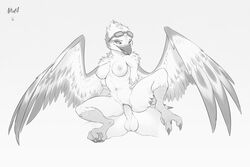 anthro avian duo eyewear faceless_male female female_focus goggles kwaza_(ozawk) male monochrome nawka nude penetration penis simple_background sitting spread_legs spreading straight vaginal_penetration wings