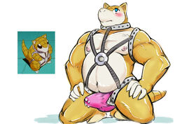 anthro bulge clothing erection erection_under_clothes furrynoata-kun male male_only nintendo pokemon sandshrew video_games