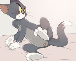 animal_genitalia animal_penis anthro atori balls bed blush cum erection feline male mammal penis precum presenting simple_background solo sweat tom_and_jerry tom_cat