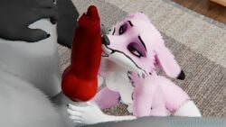 animal_genitalia animal_penis anthro balls bananastheleech bed bedding bedroom bedroom_eyes breasts canid canine canine_genitalia canine_penis dipstick_ears dipstick_limbs dipstick_tail duo ear_markings female floor fox fox_girl_(ruaidri) fur furniture genitals gin_trio gloves_(marking) grey_body grey_fur hi_res knot knotted_penis leg_markings male mammal maned_wolf markings mottled mottled_body mottled_fur multicolored_body multicolored_ears multicolored_fur narrowed_eyes nipples open_mouth oral oskar_floof penis pink_body pink_eyes pink_fur pink_nipples rug seductive sheath sheath_play socks_(marking) spread_legs spreading tail tail_markings white_body white_fur wood wood_floor