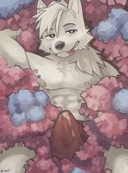 abs absurd_res anthro biped bulge_dog canid canine canis clothed clothing cum_on_underwear heart_eyes heart_symbol hi_res inviting_viewer male mammal muscular muscular_anthro muscular_male nikita_(nikitayarrow) nipples pecs pink_nipples solo tenting tongue tongue_out underwear underwear_only wolf