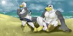 anthro ass avian ayden_(brogulls) azathura bailey_(brogulls) balls beach bird brothers duo erection humanoid_penis male outside penis seagull seaside sibling yaoi