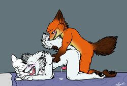 2boys all_fours animal_genitalia animal_penis anthro arctic_fox blue_eyes blush canine cum disney doggy_style duo erection erion fox from_behind_position gay gothic_cheese green_eyes grin hair male male_only mammal nick_wilde nude open_mouth penetration penis pillow pleasured sex simple_background smile tail_grab teeth tongue yaoi zootopia