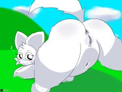 1girls 2d anal ass ass_focus behind_view furry furry_female furry_only incredibox_mod jack-o_pose pussy r1ggto spread_legs sprunki tagme tail thighs wenda_(sprunki) white_(sprunki) white_body white_fur