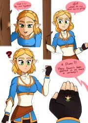 princess zelda from tears of the kingdom by punishedmosquito