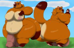 aged_up alythewolfcat animal_crossing anthro ass balls belly big_balls big_belly big_breasts big_butt big_penis breasts bulge canid canine clothing duo genitals gynomorph hi_res huge_balls huge_belly huge_butt huge_cock huge_thighs hyper hyper_balls hyper_butt hyper_genitalia hyper_penis hyper_thighs intersex mammal nintendo nipples nude penis pose raccoon_dog tanuki thick_thighs timmy_nook tommy_nook